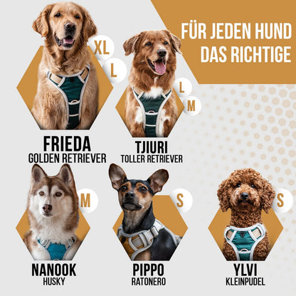 Hundegeschirr + Leine Set "Rocket"