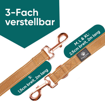 Hundegeschirr + Leine Set "Rocket"