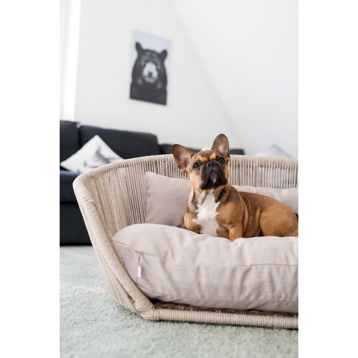 VOGUE Design Hundebett SMOOTH