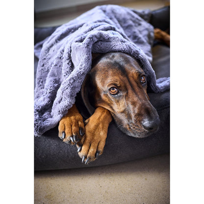 COZY  Faux Fur Kuscheldecke