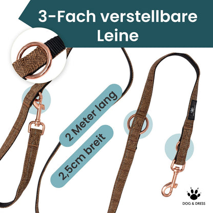 Hundegeschirr + Leine Set "Argos" inkl. Geschenkbox