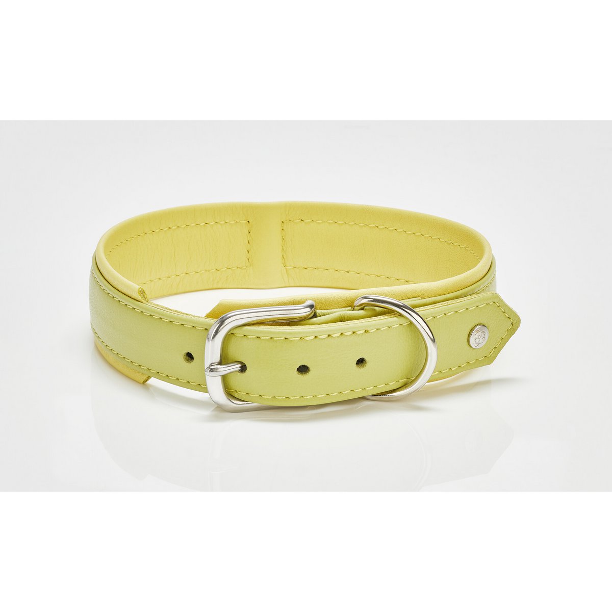 AMICI Hundehalsband Zitrone