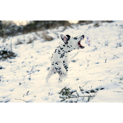 Shawn der Schneemann Kauspielzeug