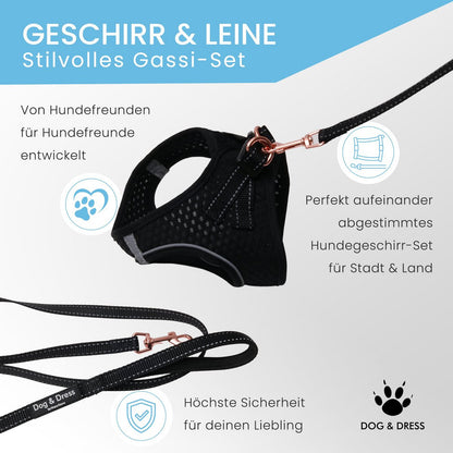 Hundegeschirr + Leine Set "Little one" für Welpen