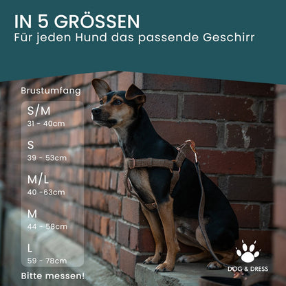 Hundegeschirr + Leine Set "Argos" inkl. Geschenkbox