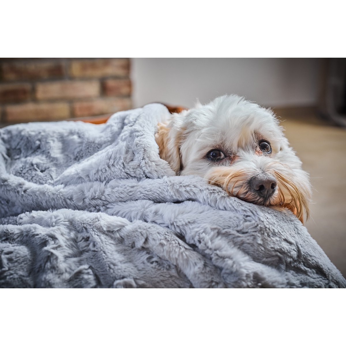 COZY  Faux Fur Kuscheldecke