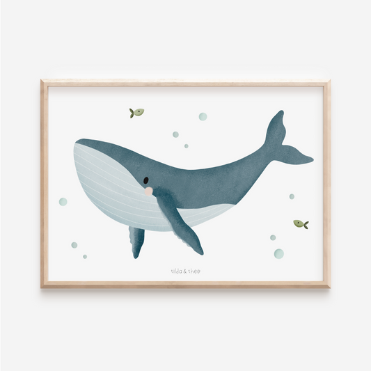 Poster Wal - Meerestiere Buckelwal