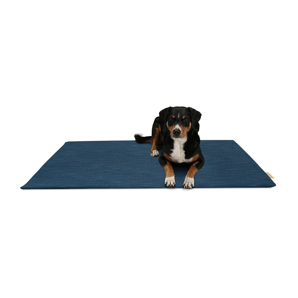 BUDDY. Dog mat made from recycled PET bottles